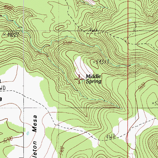 Topographic Map of Middle Spring, AZ