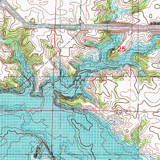 Topographic Map of Lake Clinton, IL
