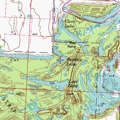 Topographic Map of Beehive Lake, IL