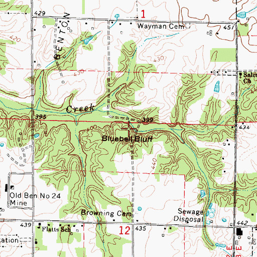Topographic Map of Bluebell Bluff, IL