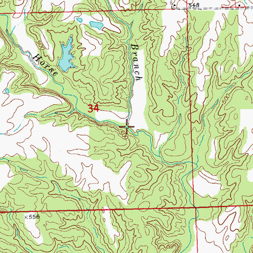 Topographic Map of Bradley Branch, IL