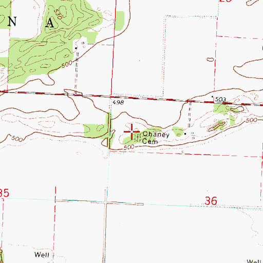 Topographic Map of Chaney Cemetery, IL