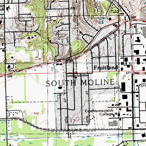 Topographic Map of Fruitland, IL