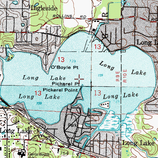 Topographic Map of Long Lake, IL