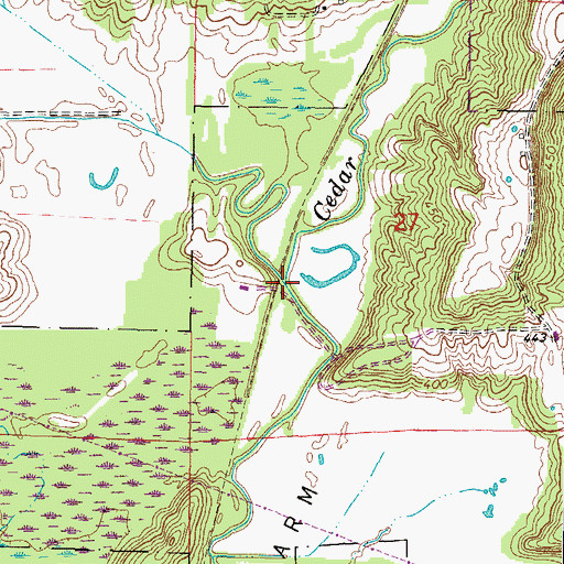 Topographic Map of Max Creek, IL
