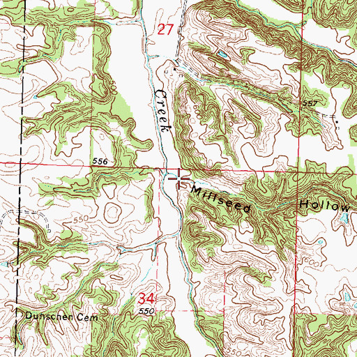Topographic Map of Millseed Hollow, IL