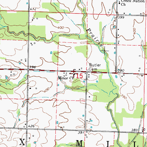 Topographic Map of Minor Church, IL