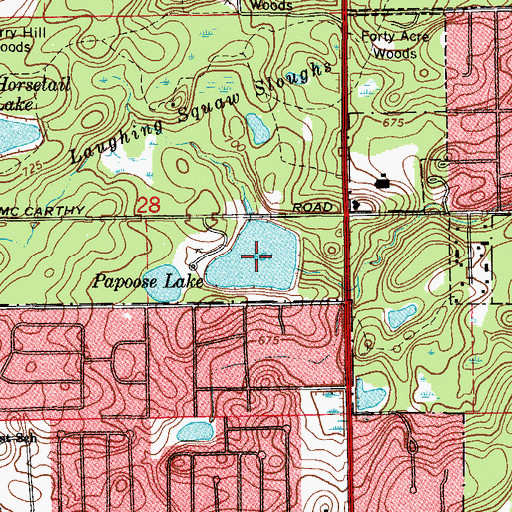 Topographic Map of Papoose Lake, IL