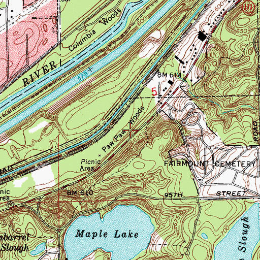 Topographic Map of Paw Paw Woods, IL