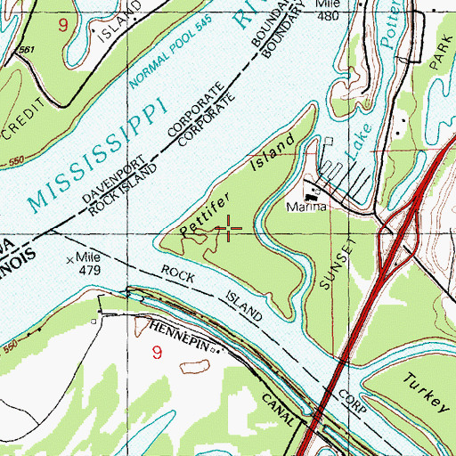 Topographic Map of Pettifer Island, IL
