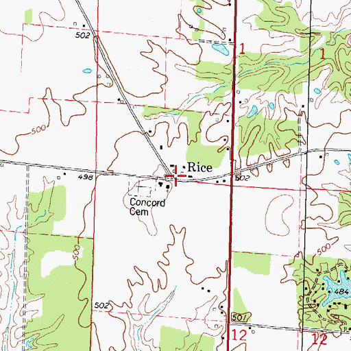 Topographic Map of Rice, IL