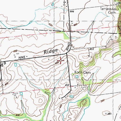 Topographic Map of Tamarawa Ridge, IL