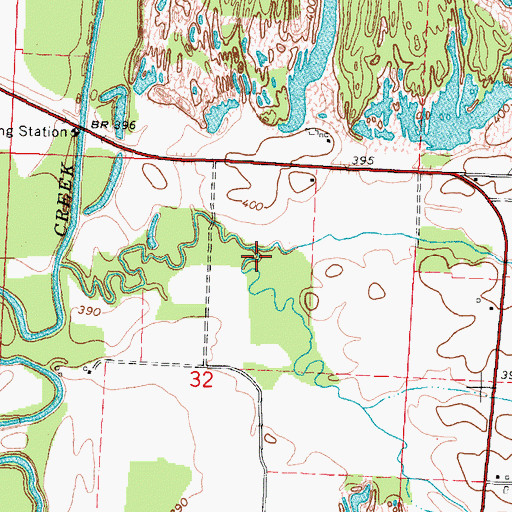 Topographic Map of Walkers Creek, IL