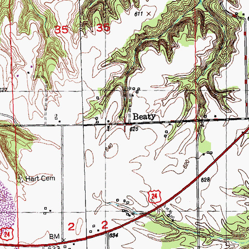 Topographic Map of Beaty, IL