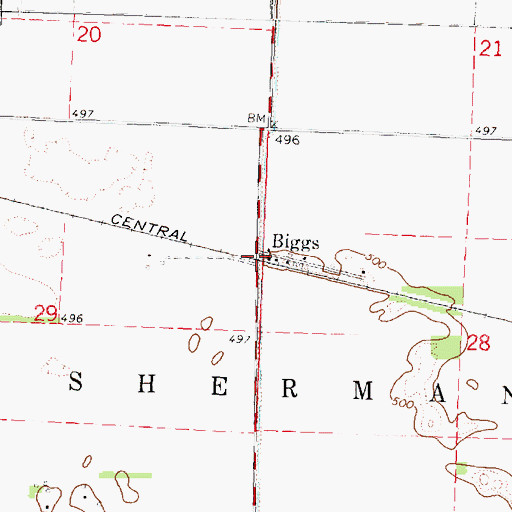 Topographic Map of Biggs, IL