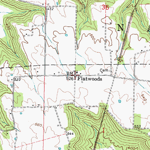 Topographic Map of Flatwoods, IL