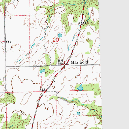 Topographic Map of Marigold, IL