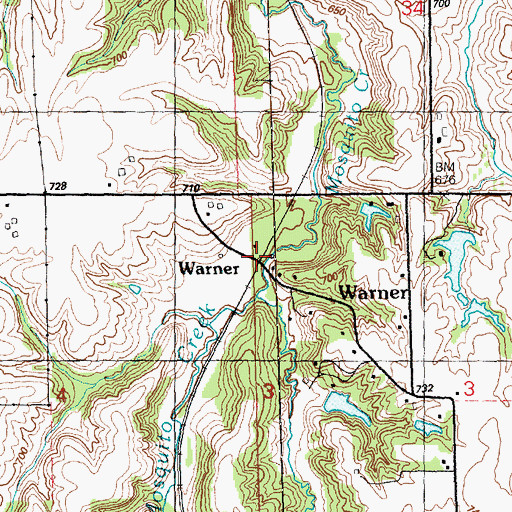 Topographic Map of Warner, IL