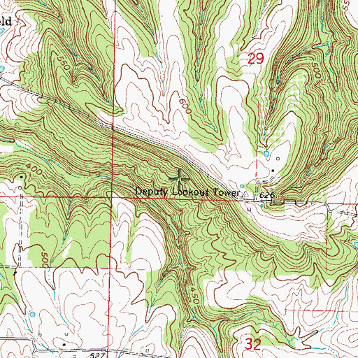 Topographic Map of Deputy Hill, IL