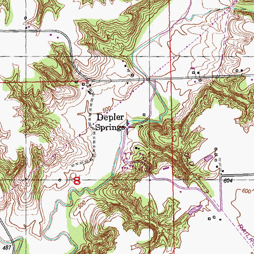 Topographic Map of Depler Springs, IL