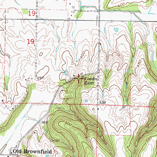 Topographic Map of Fields Cemetery, IL