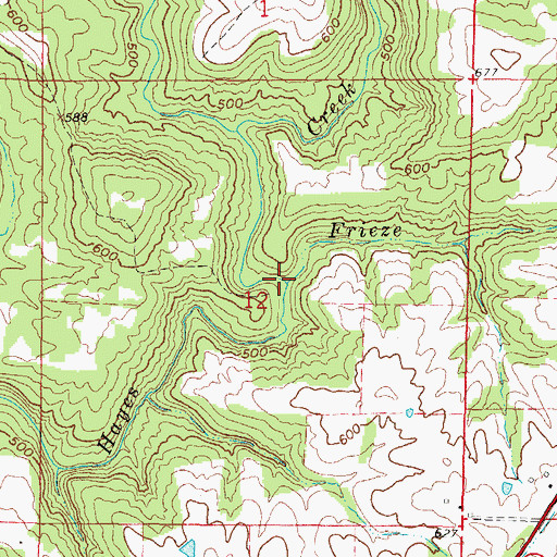 Topographic Map of Frieze Branch, IL