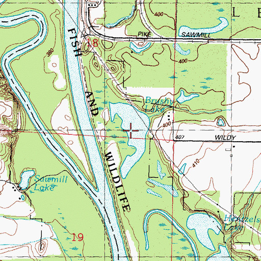 Topographic Map of Brushy Lake, IL