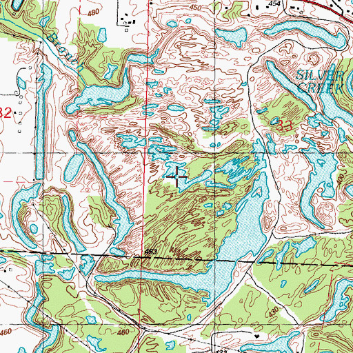 Topographic Map of Lemen Branch, IL