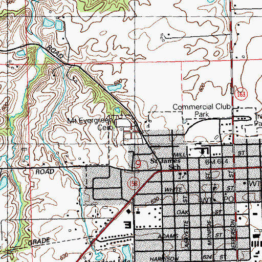 Topographic Map of Mount Evergreen Cemetery, IL