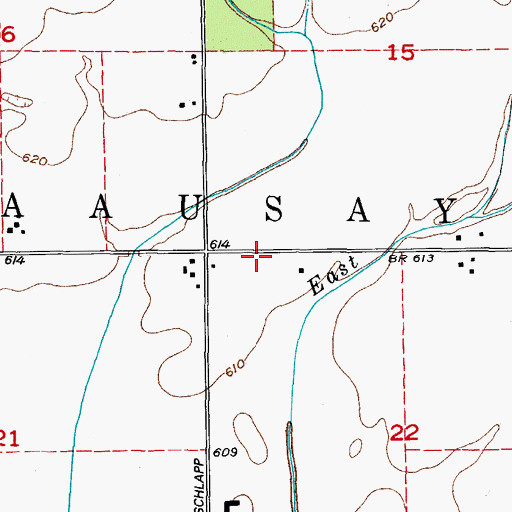Topographic Map of Township of Na-Au-Say, IL
