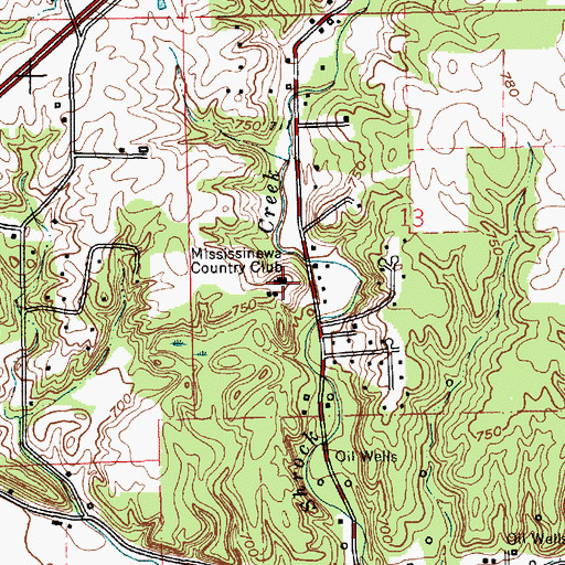 Topographic Map of Mississinewa Country Club, IN