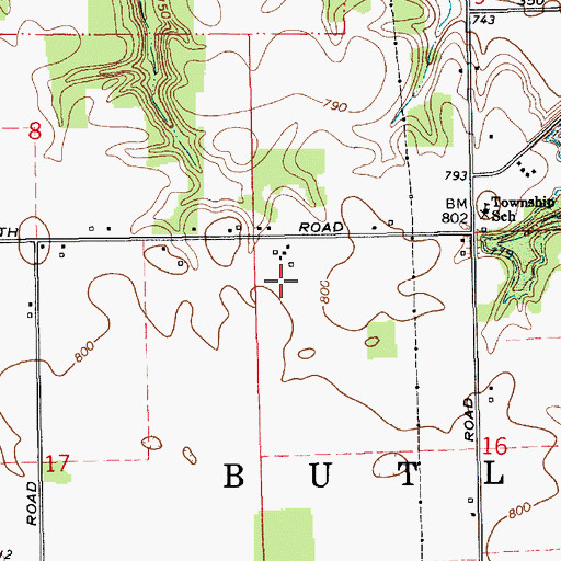 Topographic Map of Township of Butler, IN