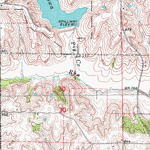Topographic Map of Pig Creek, IA