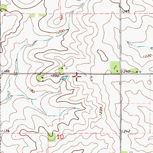 Topographic Map of Nelson, IA