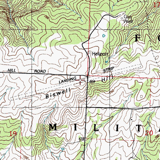 Topographic Map of Biswell Hill, AR