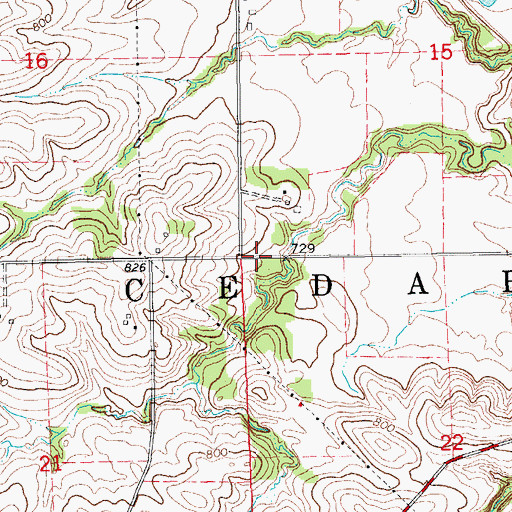 Topographic Map of Township of Cedar, IA