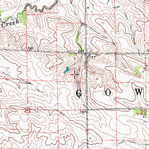 Topographic Map of Township of Gower, IA