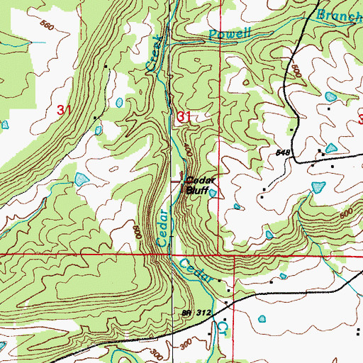 Topographic Map of Cedar Bluff, AR