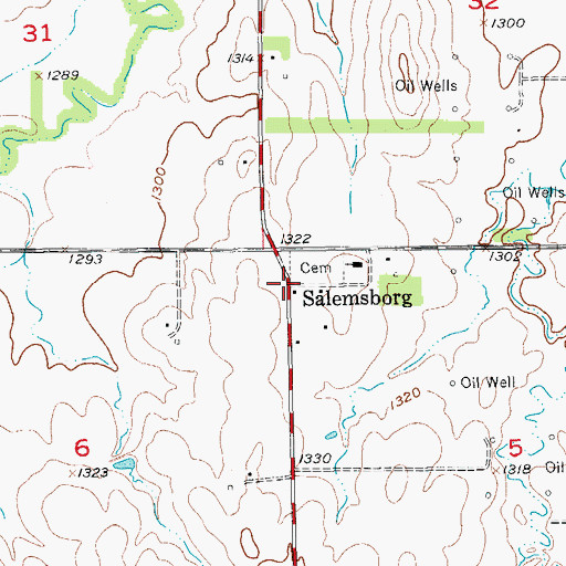 Topographic Map of Salemsborg, KS