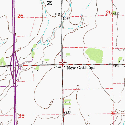 Topographic Map of New Gottland, KS