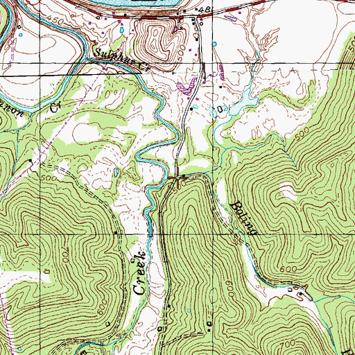 Topographic Map of Boling Branch, KY