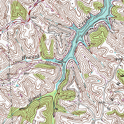 Topographic Map of Lake Branch, KY