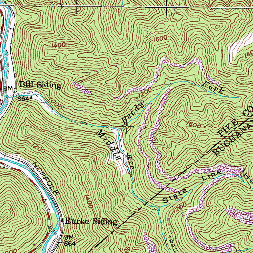 Topographic Map of Reedy Fork, KY