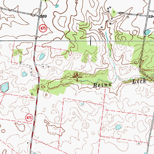 Topographic Map of Reins Lick Creek, KY