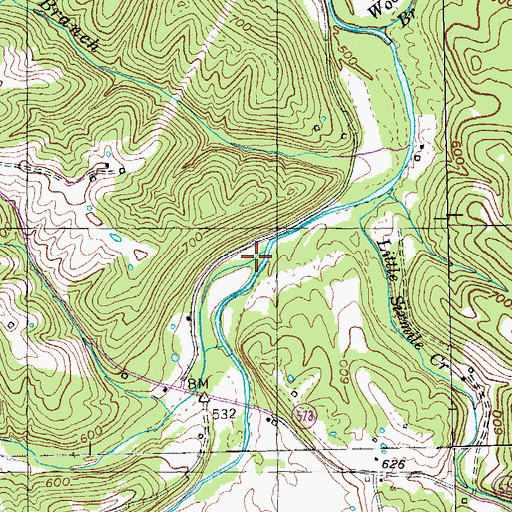 Topographic Map of Salt River, KY