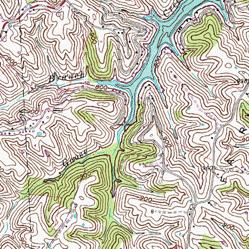 Topographic Map of Williamstown Lake, KY