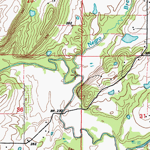 Topographic Map of Negro Branch, AR