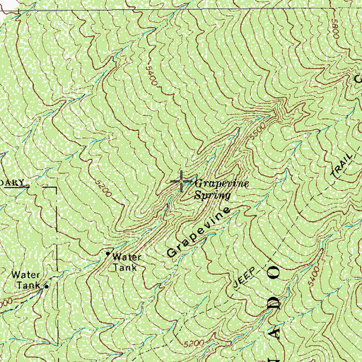 Topographic Map of Grapevine Spring, AZ