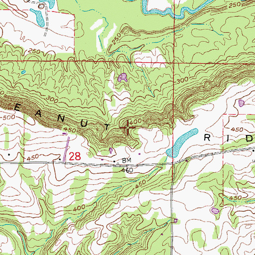 Topographic Map of Peanut Ridge, AR