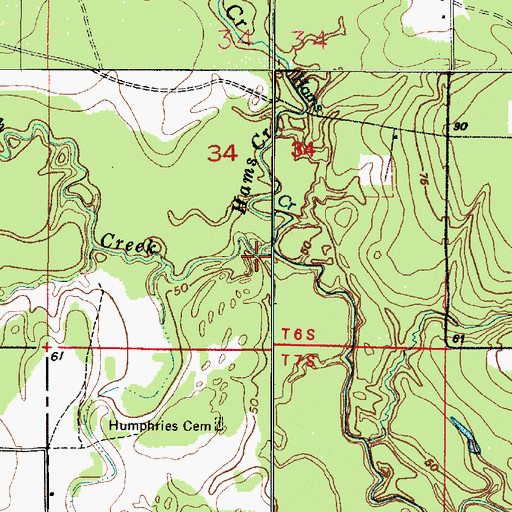 Topographic Map of Hams Creek, LA